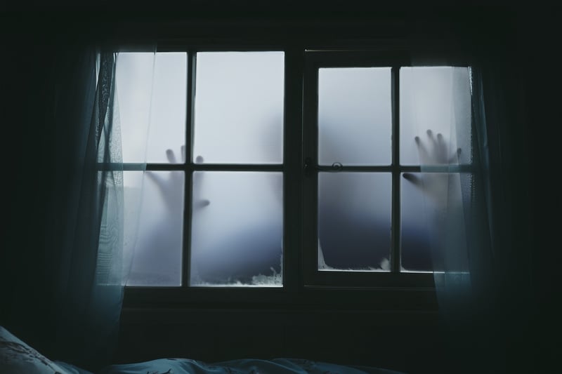 Mystery Image 2
